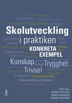 Skolutveckling i praktiken : Konkreta exempel (inbunden)