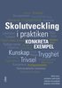 Skolutveckling i praktiken : Konkreta exempel