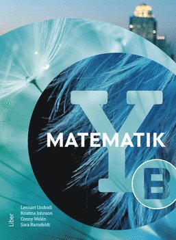 Matematik Y B-boken (hftad)