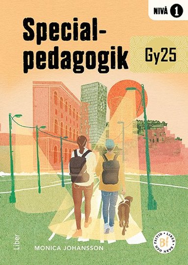 Specialpedagogik niv 1 (hftad)