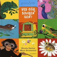 Vad g\u00f6r djuren sen? Ladda ner Nicola Davies - The Write Skills