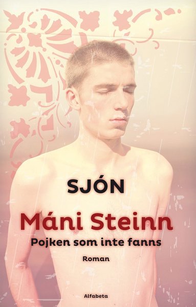Mni Steinn : pojken som inte fanns (pocket)