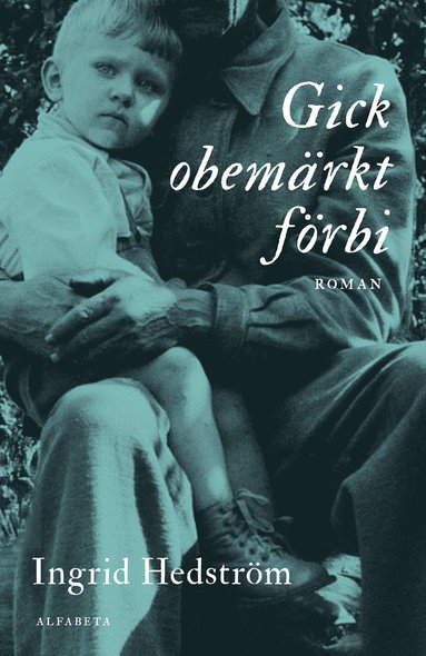Gick obemärkt förbi (ljudbok)
