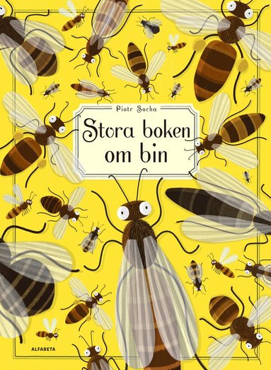 Stora boken om bin (inbunden)