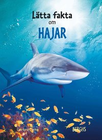 Omslag: Lätta fakta om hajar