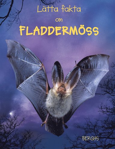 Lätta fakta om fladdermöss (inbunden)