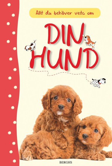 Allt du behver veta om din hund (inbunden)