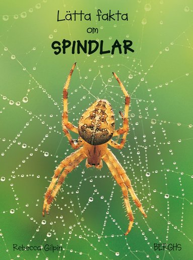 Lätta fakta om spindlar (inbunden)