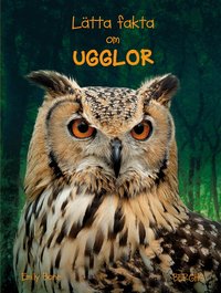Omslag: Lätta fakta om ugglor