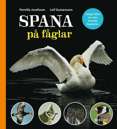Spana p fglar (inbunden)