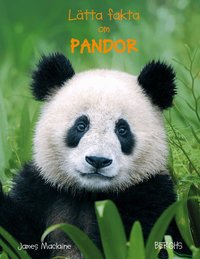 Omslag: Lätta fakta om pandor