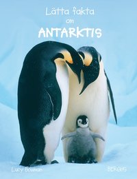 Lätta fakta om Antarktis (inbunden)
