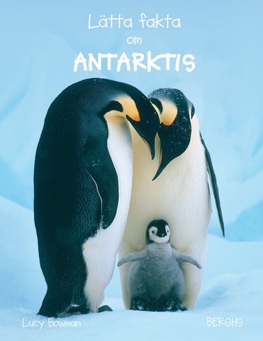 Ltta fakta om Antarktis (inbunden)