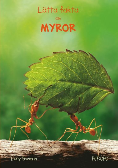 Ltta fakta om myror (hftad)