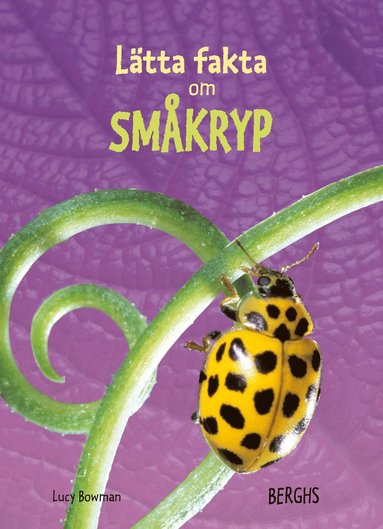Ltta fakta om smkryp (inbunden)