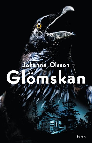 Glmskan (inbunden)