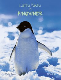 Lätta fakta om pingviner (inbunden)