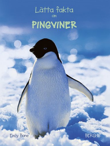 Ltta fakta om pingviner (inbunden)