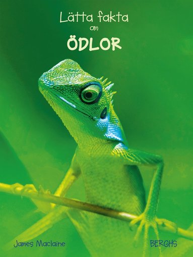 L�tta fakta om �dlor (kartonnage)