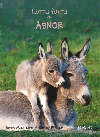 Ltta fakta om snor (kartonnage)