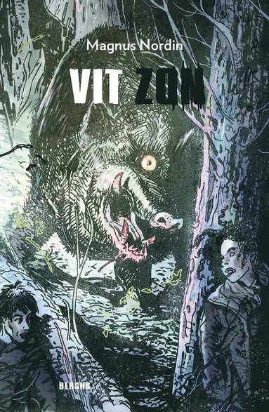 Vit zon (inbunden)