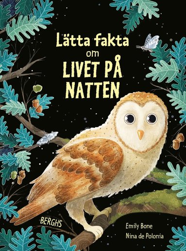 Ltta fakta om livet p natten (inbunden)