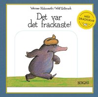 Omslag: Det var det fräckaste! Med dragflikar
