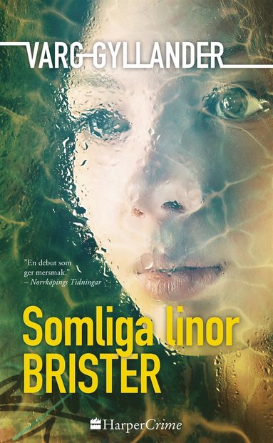 Somliga linor brister (e-bok)