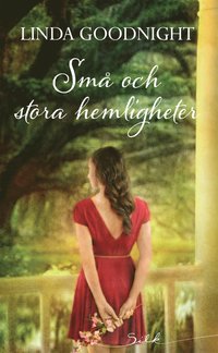 Sm och stora hemligheter (e-bok)