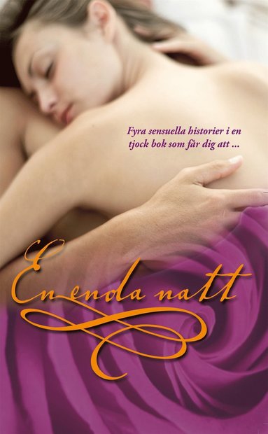 En enda natt (e-bok)