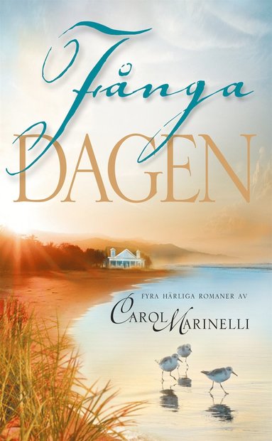 Fnga dagen (e-bok)