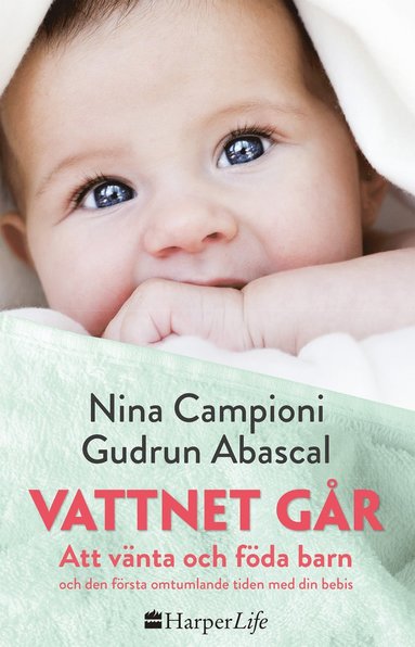 Vattnet gr : att vnta och fda barn och den frsta omtumlande tiden med din bebis (kartonnage)