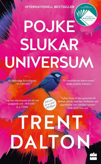 Pojke slukar universum (pocket)