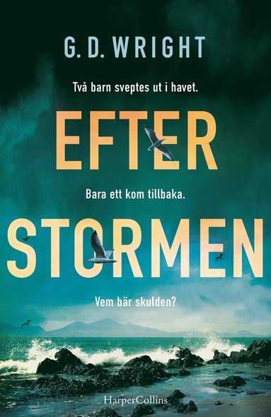 Efter stormen (inbunden)