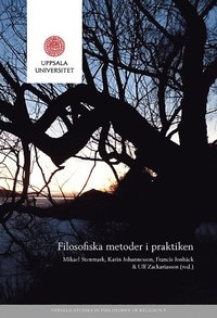 Filosofiska metoder i praktiken (hftad)