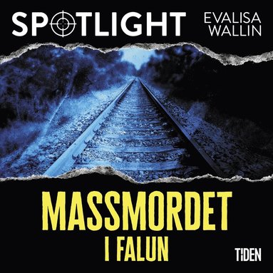 Massmordet i Falun (häftad)