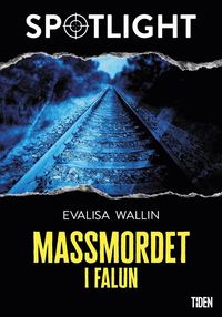 Massmordet i Falun (e-bok)