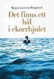 Det finns ett hål i ekorrhjulet : På jakt efter balans i livet (inbunden)