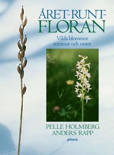 Året-runt-floran - Vilda blommor sommar och vinter (inbunden)