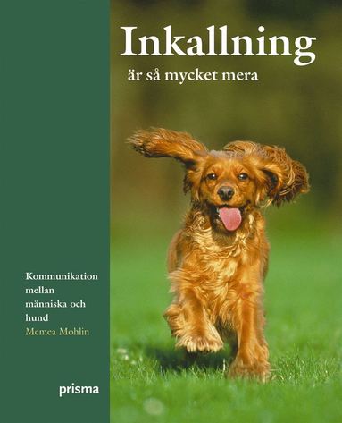 Inkallning är så mycket mera (kartonnage)