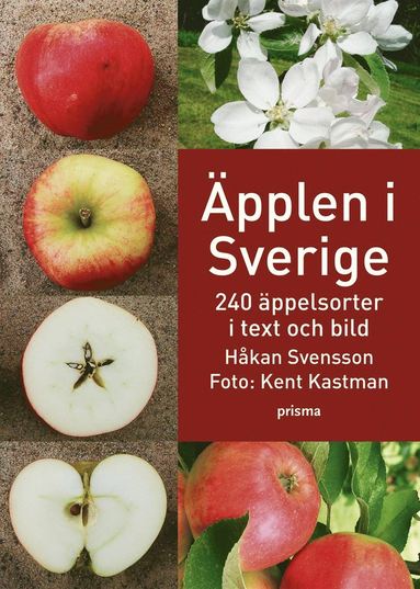 Äpplen i Sverige : 240 äppelsorter i text och bild (häftad)