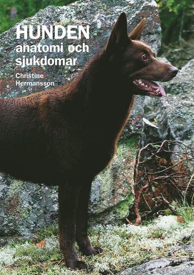 Hunden : anatomi och sjukdomar (inbunden)