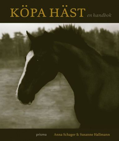 Köpa häst : en handbok (häftad)