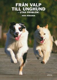Från valp till unghund : utan problem! av Nina Roegner (Kartonnage)