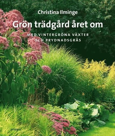 Grön trädgård året om : med vintergröna växter och prydnadsgräs (kartonnage)