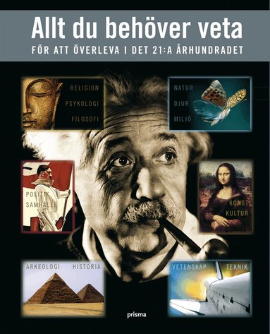 Allt du beh�ver veta : f�r att �verleva i det 21:a �rhundradet (h�ftad)