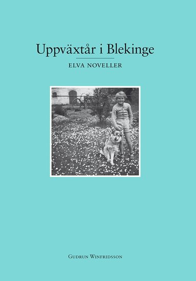 Uppvxtr i Blekinge : elva noveller (pocket)