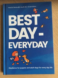 Best Day - Everyday (inbunden)