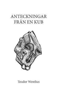 Anteckningar fr�n en kub (h�ftad)