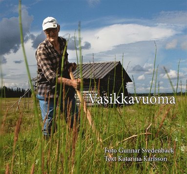 Vasikkavuoma (h�ftad)